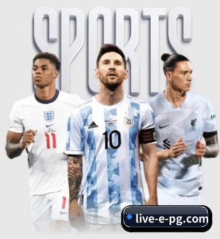 五大服务分区,信息按项目分类 | pg